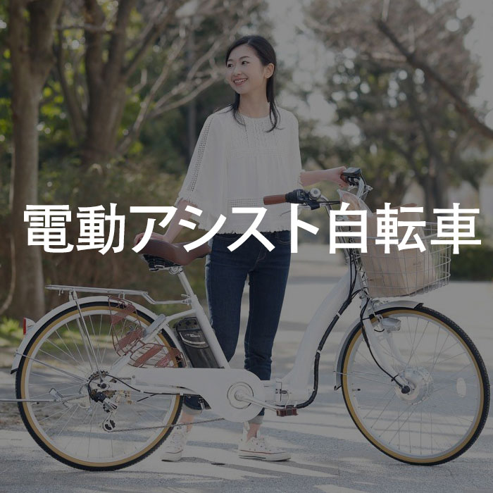 電動アシスト自転車